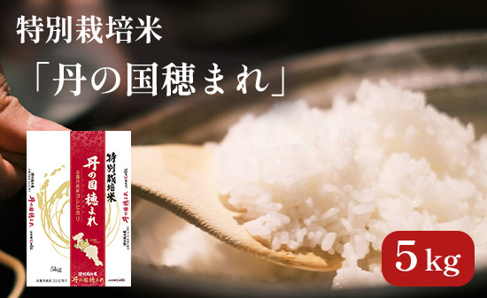 
特別栽培米 コシヒカリ 丹の国穂まれ 精米 5kg 新米 令和6年度産 京都府 中丹 舞鶴 綾部 福知山 こしひかり お米 白米 ご飯 米 主食 白ご飯 農協 JA
