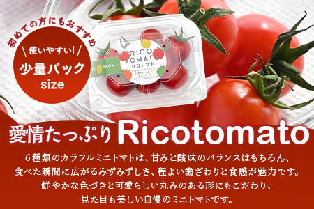 【4回定期便】【先行予約】完熟ミニトマト 【少量パック】120gx3p　たにぐちファーム 完熟ミニトマト 360g とりこになるトマト 野菜 とまと トマト リコピン 佐賀産 佐賀県 鹿島市　E-16