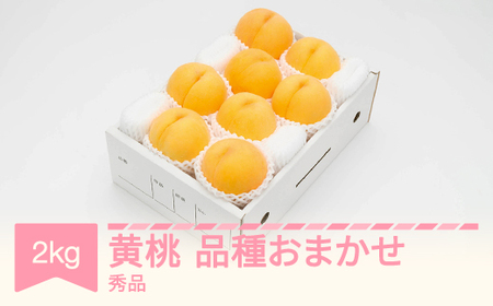 先行予約 有袋黄桃 秀品 品種おまかせ 化粧箱入り 約2kg 令和8年産 2026年産 山形県産 果物 フルーツ 桃 送料無料 ※沖縄・離島への配送不可 ns-mootx2