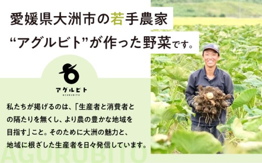 毎回ちがう旬の農産物定期便