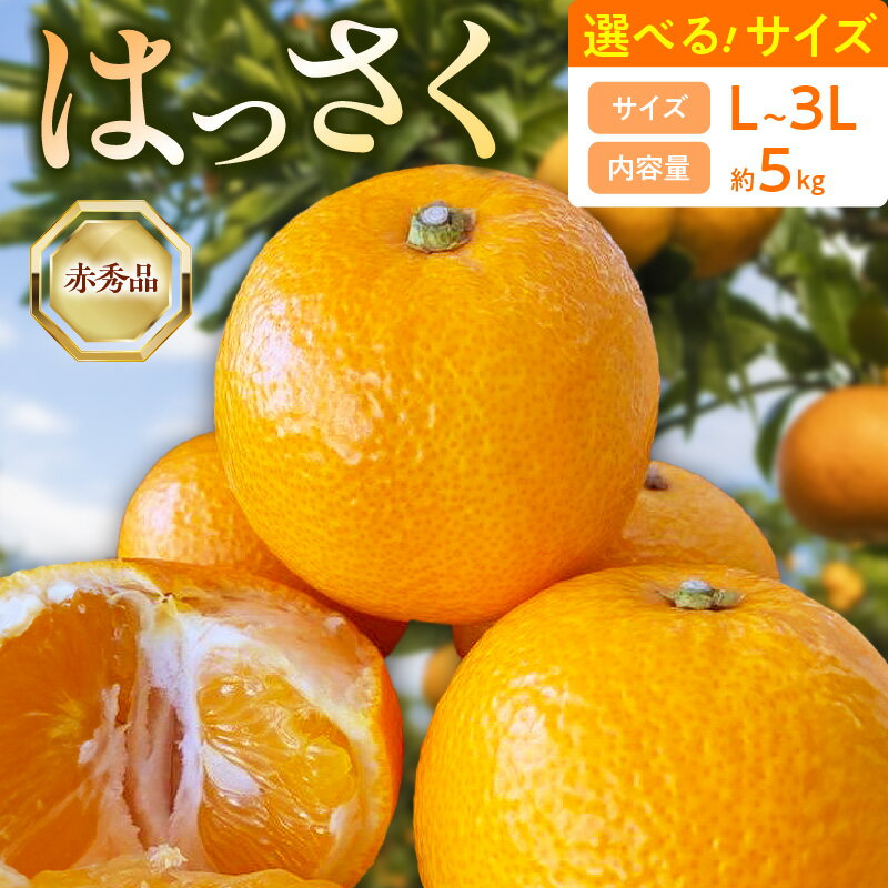 【ふるさと納税】【2026年先行受付】 はっさく 赤秀品 約5kg 選べるサイズ L ～ 3L 和歌山県 有田産 赤秀 みかん 大粒 柑橘 果物 果実 果肉 フルーツ ビタミン 食品 国産 お取り寄せ お取り寄せフルーツ 湯浅町 送料無料