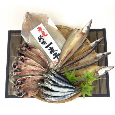 ふるさと納税 氷見市 鱈場おすすめ!【氷見産新鮮魚一夜干し4種】カマス・アジ・いわし・するめいか一夜干し