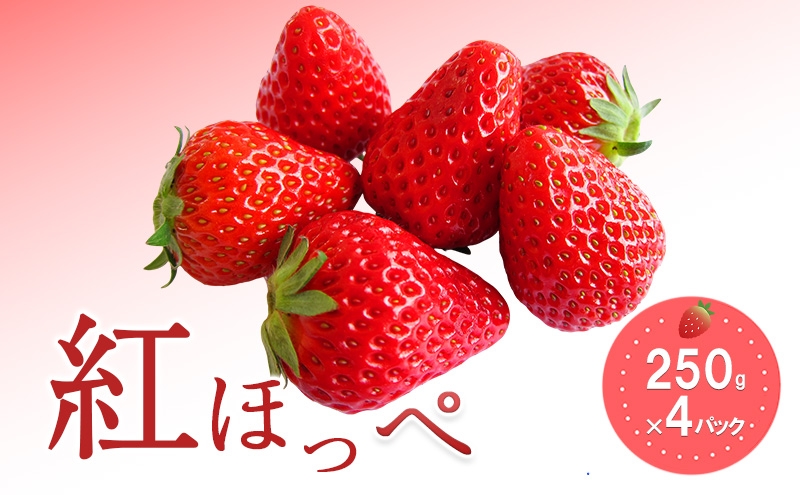 
                  おすすめ品種「紅ほっぺ」4パック　250g×4パック　『とくしま安２（安全・安心）農産物』優秀認定取得
                