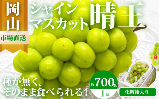 
                  ぶどう 2026年  シャイン マスカット 晴王 1房 700g以上 化粧箱入り マスカット ブドウ 葡萄  岡山県産 国産 フルーツ 果物 ギフト
                