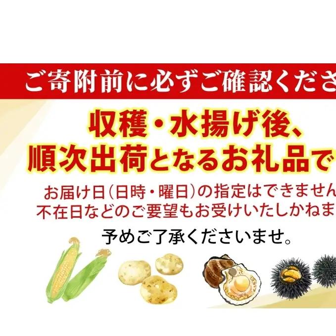 ミョウバン不使用 塩水 ウニ100g 2パック 7月下旬頃までお届け  [水揚げ後 順次出荷]  キタムラサキウニ うに ウニ 雲丹 ムラサキウニ 北海道産 魚貝 魚介 海鮮 海産 小川商店 送料無料