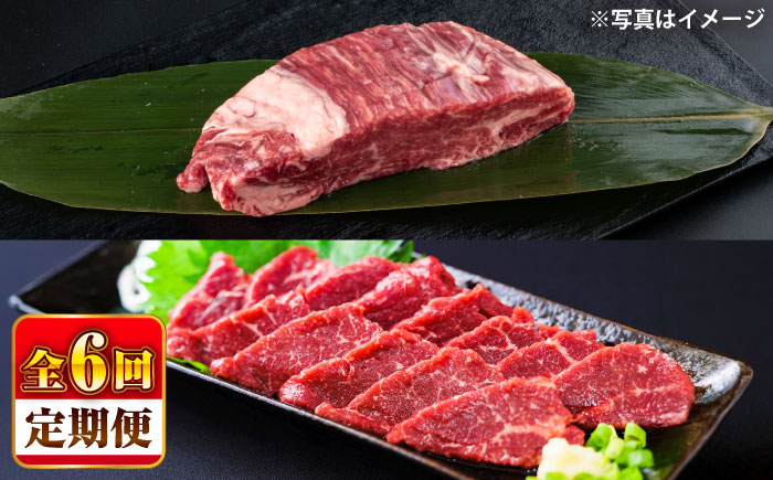 【全6回定期便】 あか牛 ステーキ用ヒレ肉(約800g)、馬刺し(約200g)セット 計約1kg / 牛肉 馬肉 食べ比べ　【合同会社 たべたせいか】 [BHBY018]
