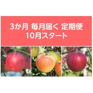 【発送月固定定期便】〈2025年10月より順次発送〉甘味系・青森県産りんご約3kg全3回【配送不可地域：離島・沖縄県】【4068084】
