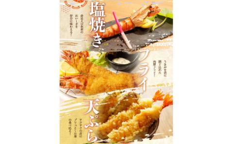 紀州和歌山産天然足赤えび540g×2箱（270g×4パック）化粧箱入 ※2024年11月上旬～2025年2月上旬頃順次発送予定（お届け日指定不可）【uot773A】