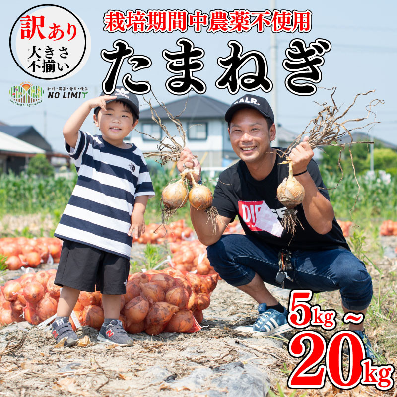 
訳あり 玉ねぎ 5 ～ 20kg 不揃い サイズ ミックス たまねぎ 玉葱 野菜 ハンバーグ 肉じゃが オニオン サラダ スープ 焼肉 BBQ バーベキュー 健康 味噌汁 数量限定 新鮮 季節 産地直送 徳島県 阿波市
