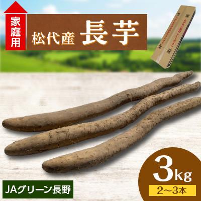 ふるさと納税 長野市 【先行受付】JAグリーン長野　松代産　長芋　3kg(2〜3本)　家庭用
