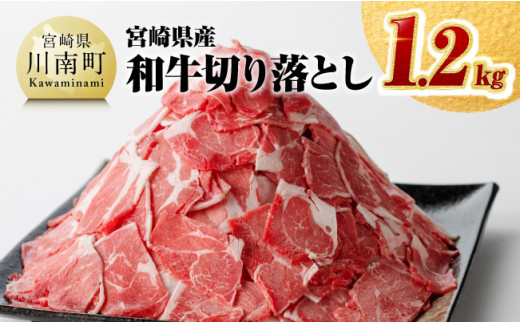 
※令和6年2月より順次発送※ 数量限定 宮崎県産和牛切り落とし1.2kg 【 国産牛 牛肉 肉 お肉 切落し 】
