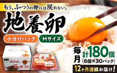 12回定期便 最高級 卵 Mサイズ 計180個（6個×30パック）＜垣山養鶏園＞ [CBB016] 卵