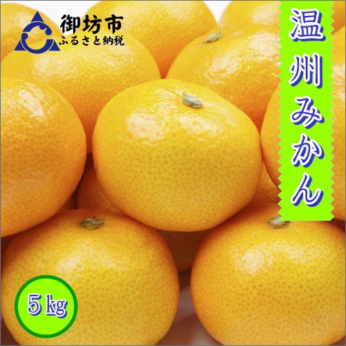 御坊市・日高川町・由良町産 温州みかん（ゆらっ子）5kg《先行予約》