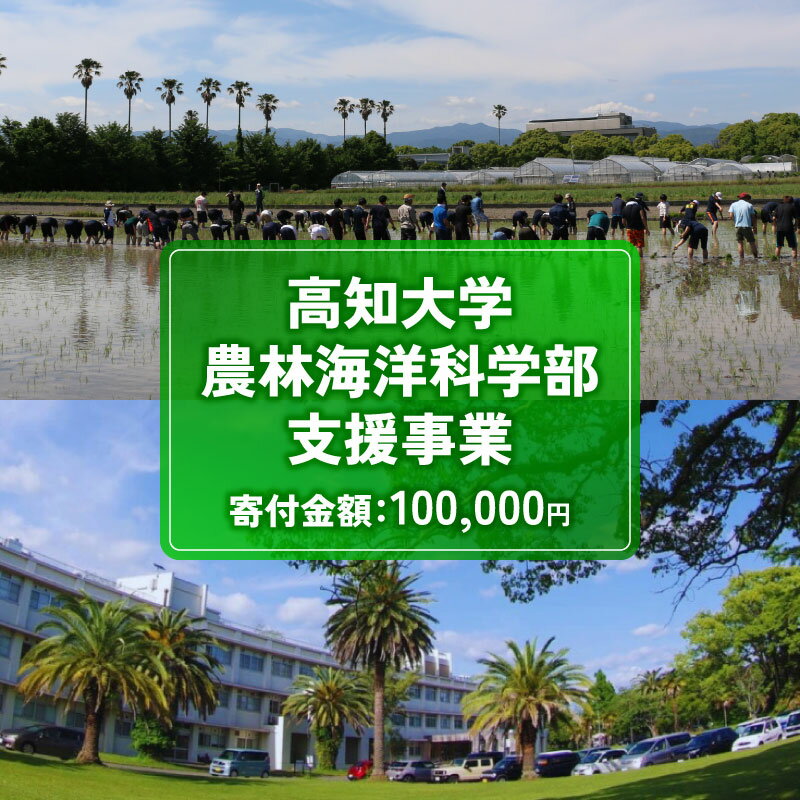 【ふるさと納税】 返礼品なし 100,000円 高知大学 農林海洋科学部 支援事業(教育・研究・地域貢献を支える寄附) | 実習・フィールドワーク支援 研究支援 地域貢献活動支援 人材育成 高知県 南国市