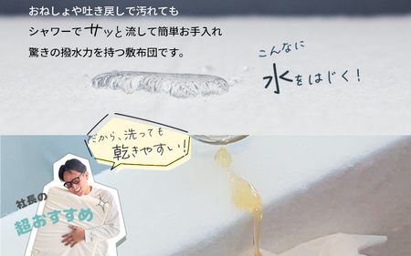 丸ごと水洗いできる 固わた敷布団マットレス スリムサイズ(60×120cm)