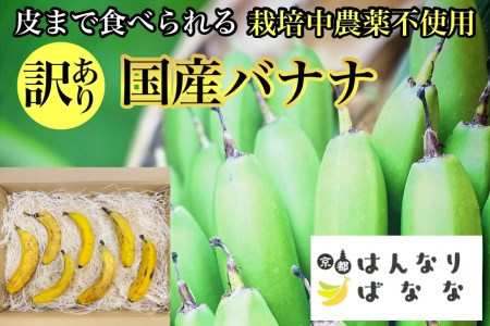 『京都はんなりばなな』1kg 皮まで食べられる 国産バナナ【訳あり】バナナ バナナ バナナ バナナ バナナ