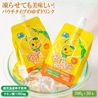 ふるさと納税 伊佐市 【毎月定期便】ゆずドリンクパウチ ゆずだもん。ストレートタイプ(300g×30本)(伊佐市)全3回