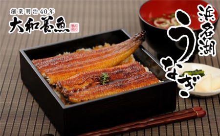 うなぎ 蒲焼 80g×3尾 訳あり 真空パック 冷蔵 うなぎ