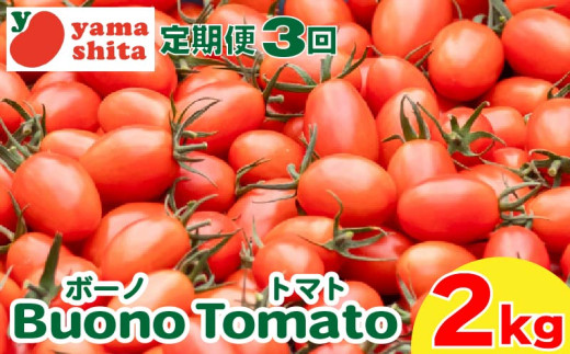 ミニトマト 2kg アイコ 定期便 3回 ボーノトマト 野菜 やさい トマト 完熟 高糖度 糖度 果物 スイーツ ジュース パスタ スパゲティー ソース サラダ ドレッシング 鍋 サンドイッチ ハンバーガー ピザ カレー ギフト 贈答 プレゼント お取り寄せ グルメ 送料無料 徳島県 阿波市 山下農園