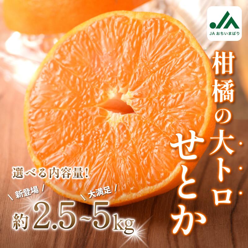 【ふるさと納税】【先行予約】＼毎年売切れ！／ せとか 家庭用 レギュラー箱 約2.5～5kg【KC00770】 ふるさと納税 愛媛県 今治市 先行予約 今治産 みかん フルーツ 甘い 柑橘 果物 愛媛みかん せとかみかん setoka せとかふるさと納税 果物ふるさと納税 おいしいみかん
