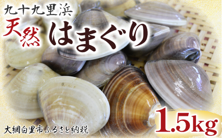 九十九里浜　天然はまぐり　1.5kg【厳選】 P007 