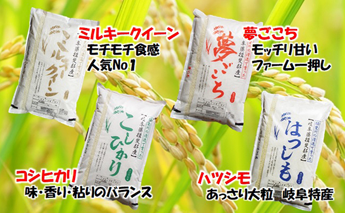 特別栽培米★精米20kg（白米/5分/7分ツキ可）【ハツシモ】 玄米は別に出品　7分ヅキ