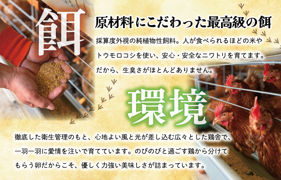 新鮮たまご 赤玉 Lサイズ 30個 明和町 中村養鶏場 卵 たまご 生卵 生たまご 鶏卵 国産 濃厚 ny2