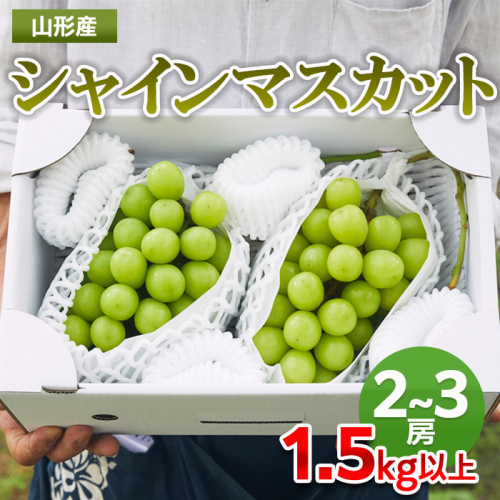 山形市産 シャインマスカット 秀1.5kg以上(2～3房)【後半】 FZ22-398