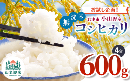 令和7年度 君津市小山野産 コシヒカリ 無洗米 4合 約600g | 新米 しんまい コシヒカリ こしひかり 4合 山名郷米 やまなごうまい 千葉県産 無洗米 むせんまい 米 コメ こめ お米 千葉県 君津市 きみつ あかかげ農園 千葉稲作