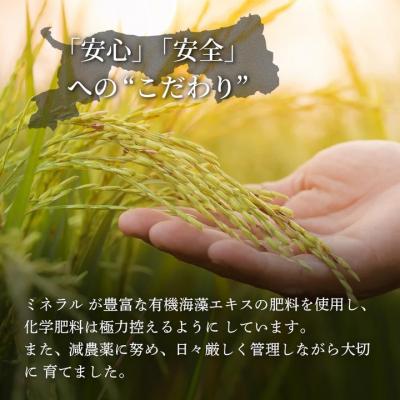 ふるさと納税 八頭町 鳥取県産 きぬむすめ 令和7年産 精米済 10kg(5kg×2袋) |  | 02