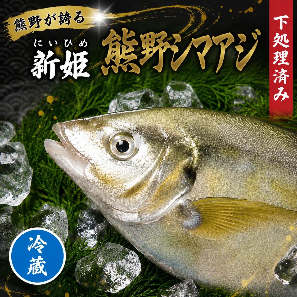 【配送日指定可】 アジ 新姫熊野しまあじ 1匹 下処理済み【冷蔵】【mzsi0004-1】