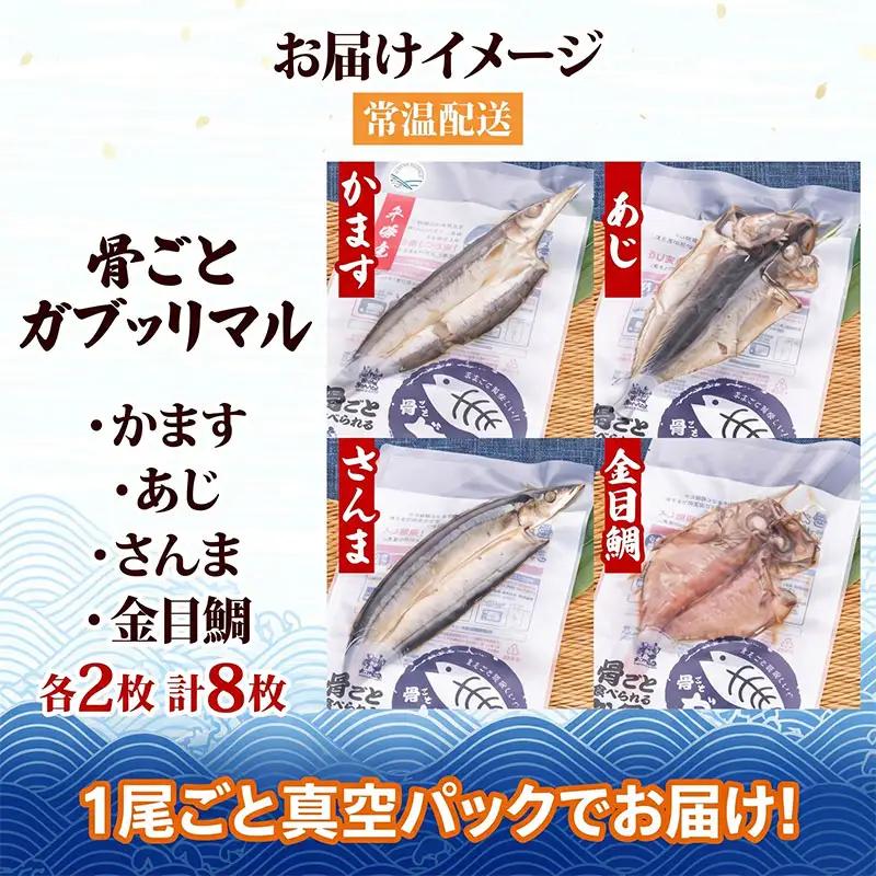 干物 骨ごと食べられる ガブッリマル | 干物