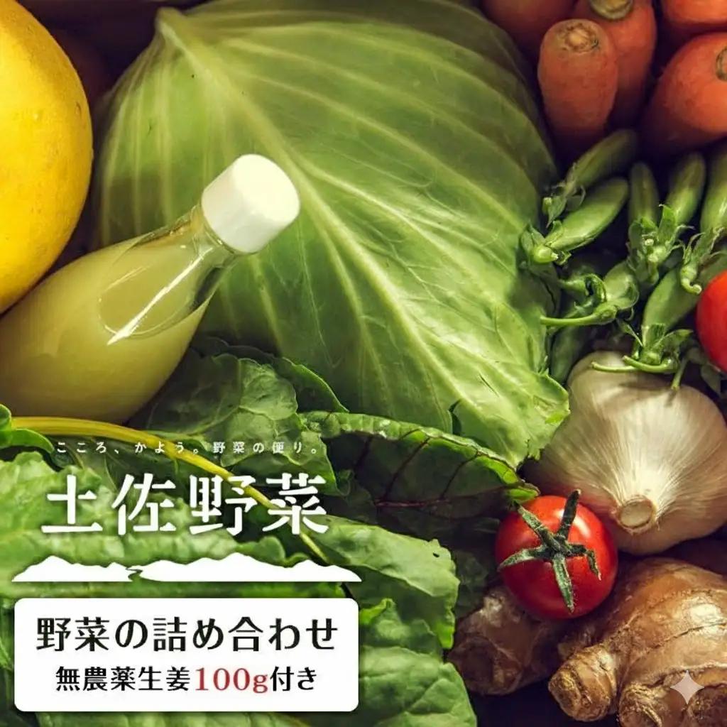 旬の土佐野菜セット 無農薬生姜100g付き 野菜