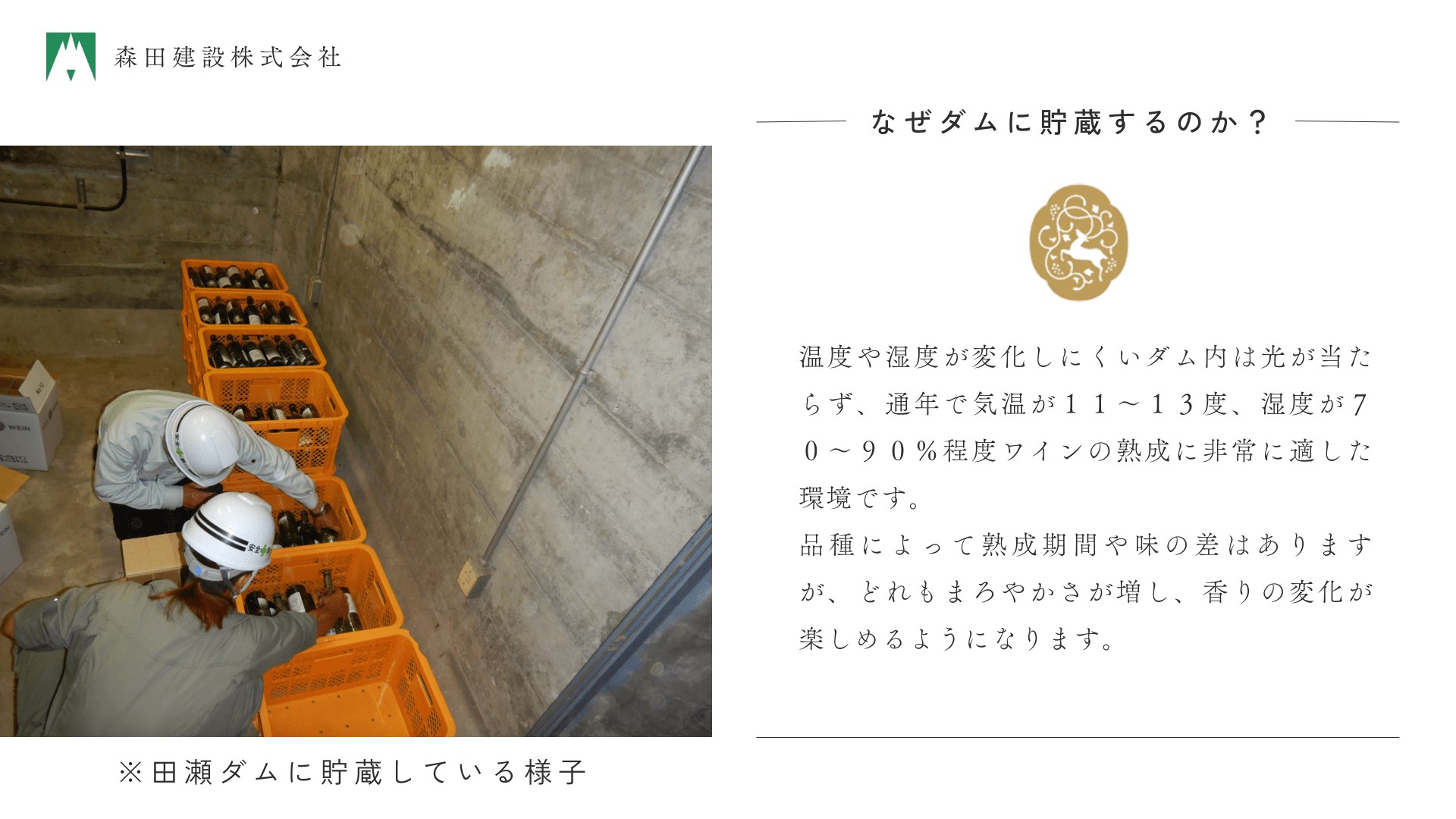 「早池峰の恵み」モリタワイン リースリング2019 ダム貯蔵ワイン 辛口　720ml×1本 【2106】