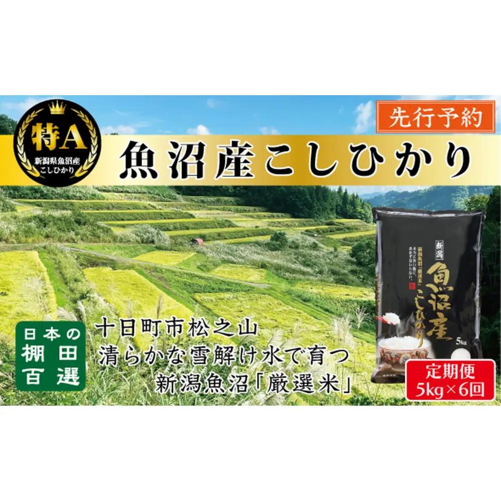 【令和8年産新米予約】【6か月定期便】10月発送開始《食味鑑定士厳選》日本棚田百選・十日町（魚沼）産こしひかり 5kg全6回