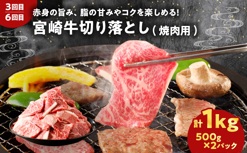 【10月1日より寄附額改定】≪6か月お楽しみ定期便≫宮崎県産牛＆豚の満腹セット(総重量7kg) 肉 牛 牛肉 豚肉 おかず 国産_T030-186
