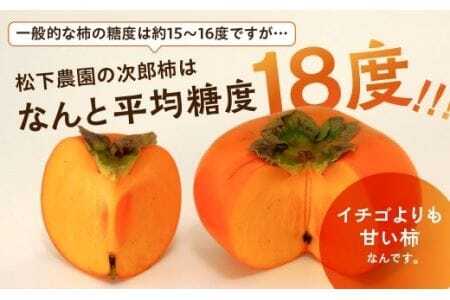 次郎柿 10kg 豊橋 甘 柿