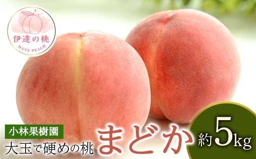 
                  【2026年出荷分先行予約】<冷蔵配送>福島県産 まどか 約5kg (14~20玉) 小林果樹園 大玉 固め 伊達の桃 桃 フルーツ 果物 もも モモ momo F21C-257
                