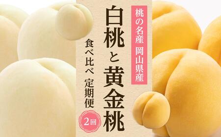 フルーツ 2026年 岡山県産 桃 食べ比べ 定期便 2回コース（白桃・黄金桃）