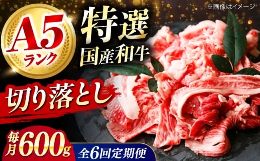 【全6回定期便】 和牛 国産和牛切落し 600ｇ 肉 お肉 国産 和牛 牛肉 切り落とし 冷凍 ギフト ストック A5ランク 国産和牛切落し 600ｇ 肉 お肉 国産 和牛 牛肉 切り落とし 冷凍 ギフト ストック A5ランク 贈答 ギフト 贈り物 人気 定番 おすすめ 定期便 ふるさと納税 特産品 産地直送 取り寄せ お取り寄せ 大阪府高槻市/株式会社ミートモリタ屋 [AOAI024]