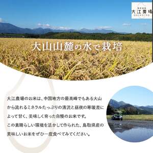 ※1月配送分【令和7産米】倉吉市産 コシヒカリ 5kg （ 大江農場 数量限定 新米 ）