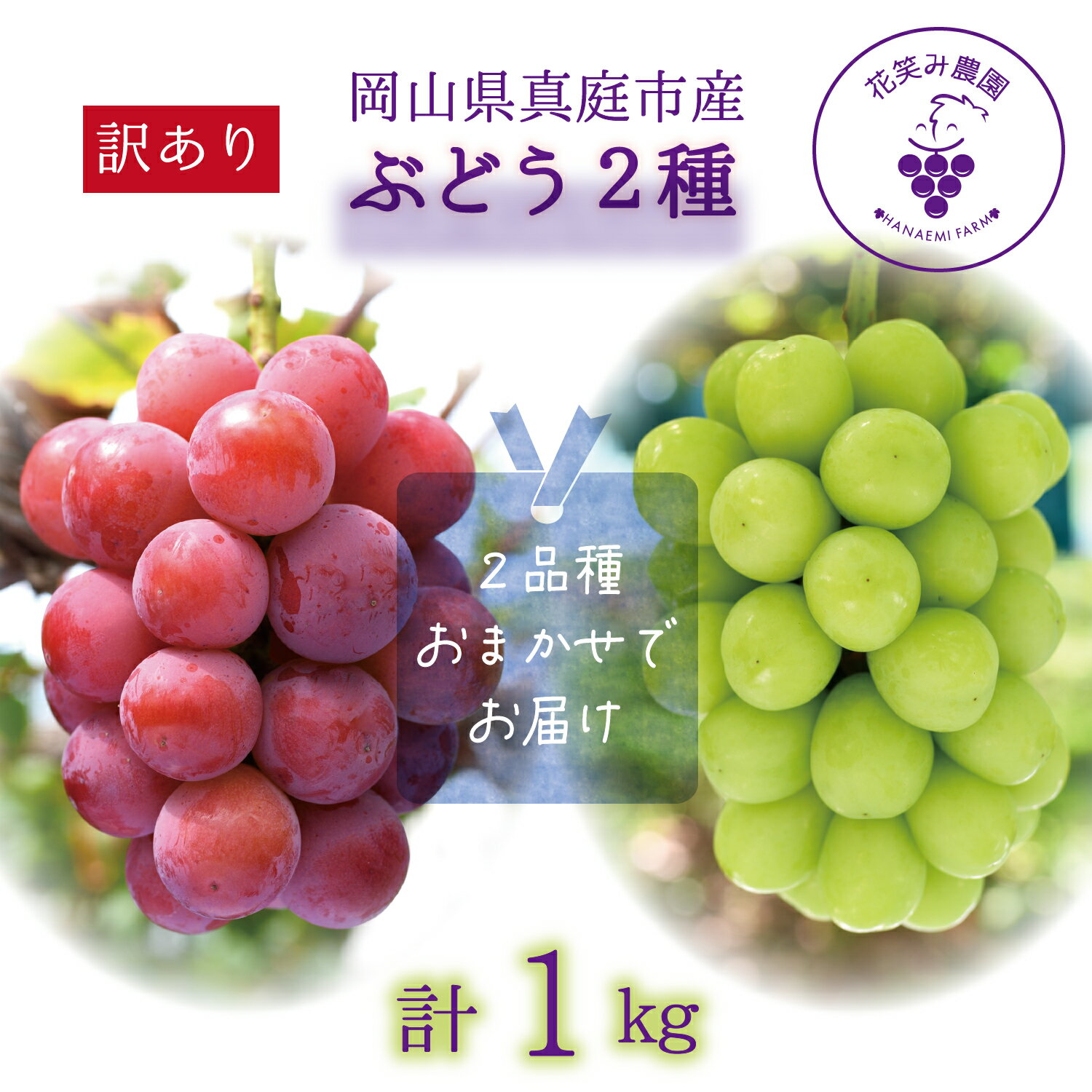 【ふるさと納税】 岡山　花笑み農園の『訳あり2種MIX』ブドウ1kg W2M-1 hana49【2025年9月中旬〜順次発送】【配送不可地域：離島】 ぶどう 葡萄 真庭 国産 産地直送 シャインマスカット ピオーネ オーロラブラック 瀬戸ジャイアンツ 食べ比べ 人気 数量限定 果物【1492078】