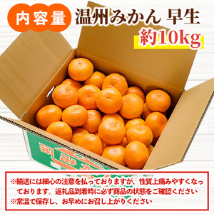 ＜先行予約受付中！11月下旬より順次発送予定＞数量限定 大分県宇佐市産 温州みかん(約10kg)みかん ミカン 蜜柑 柑橘 フルーツ 果物 くだもの 果実 国産【103620300】【井上農園】
