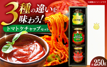 ケチャップセット3種 〈リサトマトケチャップ・リサケチャップブラック・大人のナポリタン〉各250g / ケチャップ セット リサトマト トマト ナポリタン 調味料 とまと 高知【株式会社　堀】[ATDA009]