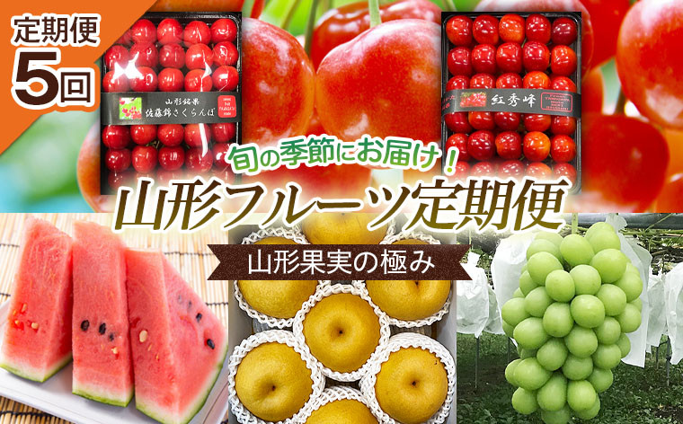 
            【定期便5回】山形果実の極み 【令和7年産先行予約】FU20-100 くだもの 果物 フルーツ 山形 山形県 山形市 2025年産
          