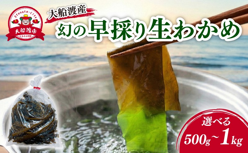 
                  【2月までの期間限定】早採り生わかめ 新物 500g～1kg 期間限定 ★2026年1月～発送予定★ わかめ 早採りわかめ 生わかめ 三陸 小分け 若芽 湯通し 海藻 海産物 味噌汁 ごはん 夕飯 おかず しゃぶしゃぶ サラダ お刺身 刺し身 刺身 末崎 岩手県 国産 大船渡
                