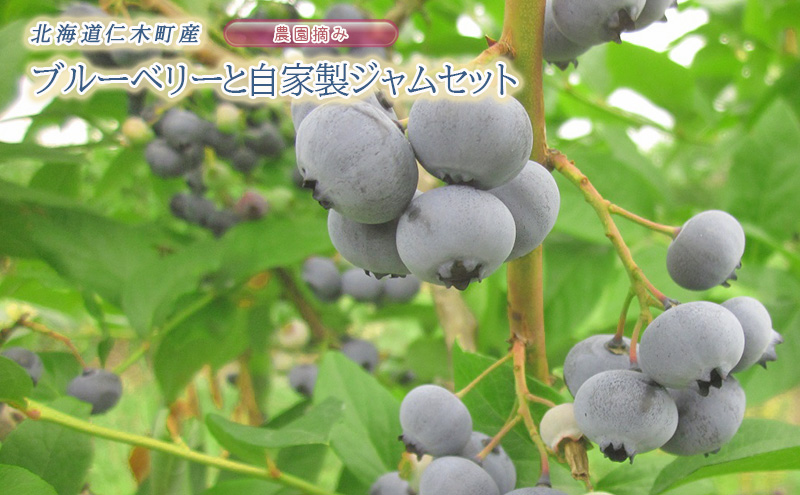 [先行受付] 農園摘みブルーベリー 1kg（100g×10パック）と自家製ジャム 350g セット 北海道 仁木町産 果物 果物類 フルーツ ジャム セット 北海道 仁木町 仁木 [小林信幸]