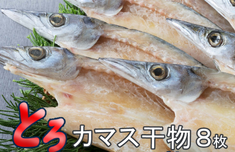 トロカマス干物セット（８枚）