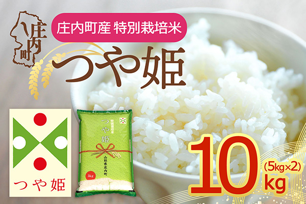 庄内町産 つや姫 10kg 5kg×2袋 令和7年産 2025年産 ブランド米 コシヒカリの原点、亀の尾発祥の地 庄内 10kg（5kg×2袋）