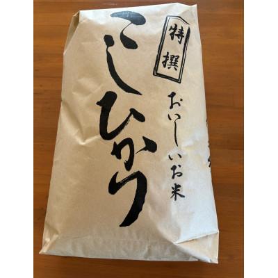 ふるさと納税 那須塩原市 栃木県北産 精米 コシヒカリ 10kg